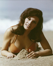 This is an image of Prints & Posters of Raquel Welch 202547