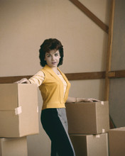 This is an image of Prints & Posters of Annette Funicello 202554