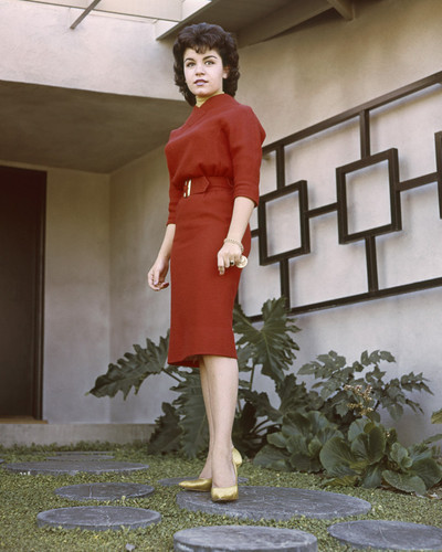 This is an image of Prints & Posters of Annette Funicello 202563