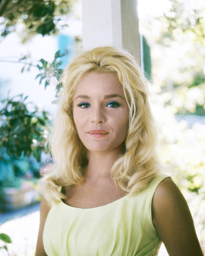 TUESDAY WELD PRINTS AND POSTERS 290355 