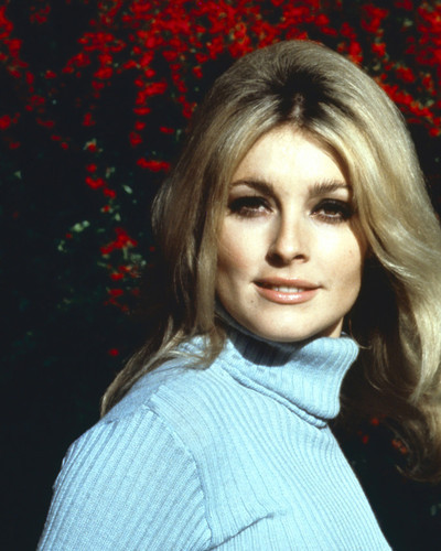 This is an image of Prints & Posters of Sharon Tate 202628
