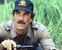 This is an image of Prints & Posters of Tom Selleck 202634