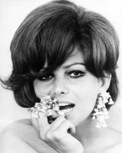 This is an image of Prints & Posters of Claudia Cardinale 104781