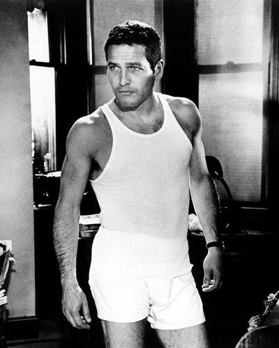 This is an image of Prints & Posters of Paul Newman 104698