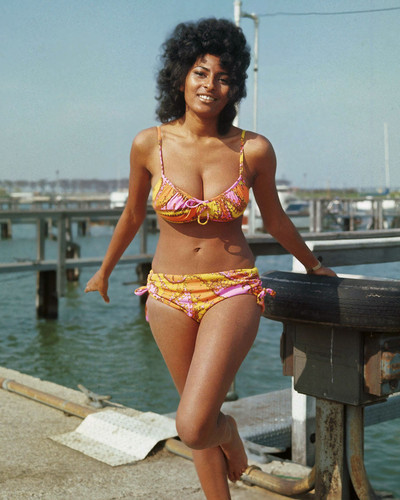 This is an image of Prints & Posters of Pam Grier 202540