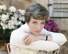 This is an image of Prints & Posters of Julie Andrews 202712