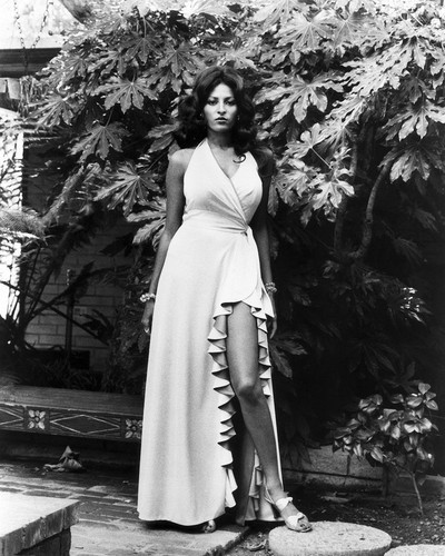 This is an image of Prints & Posters of Pam Grier 104860