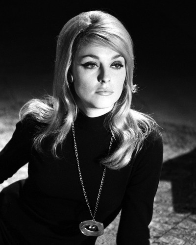 This is an image of Prints & Posters of Sharon Tate 104862