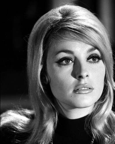 This is an image of Prints & Posters of Sharon Tate 104872