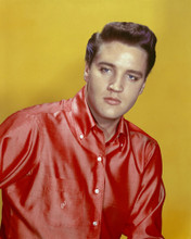 This is an image of Prints & Posters of Elvis Presley 202829