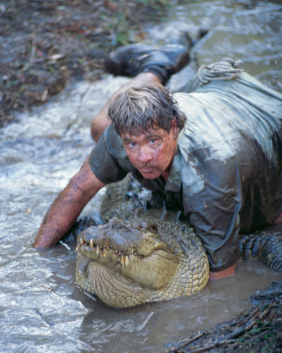 This is an image of Prints & Posters of Steve Irwin 203090