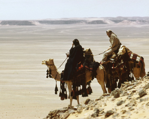 This is an image of Prints & Posters of Lawrence of Arabia 203020