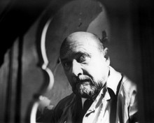 This is an image of Prints & Posters of Donald Pleasence 105466