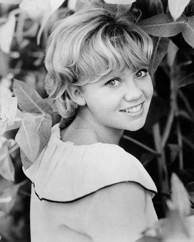 This is an image of Prints & Posters of Hayley Mills 105293