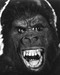 This is an image of Prints & Posters of King Kong (1976) 105013
