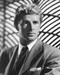This is an image of Prints & Posters of Sterling Hayden 105134
