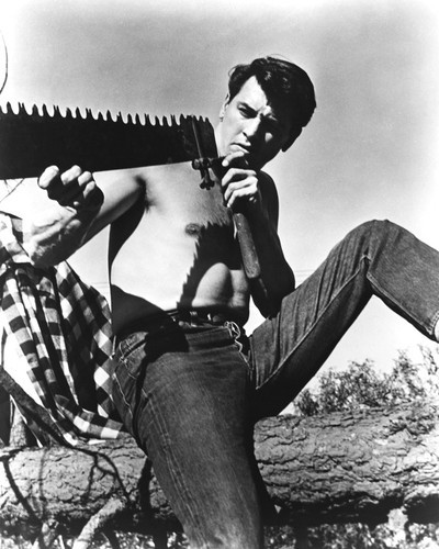 This is an image of Prints & Posters of Rock Hudson 105166