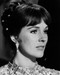 This is an image of Prints & Posters of Julie Andrews 105582
