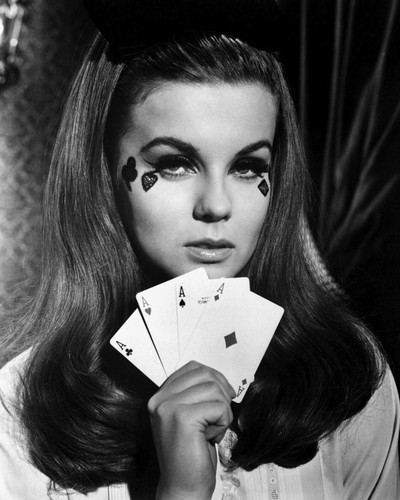 This is an image of Prints & Posters of Ann-Margret 105917