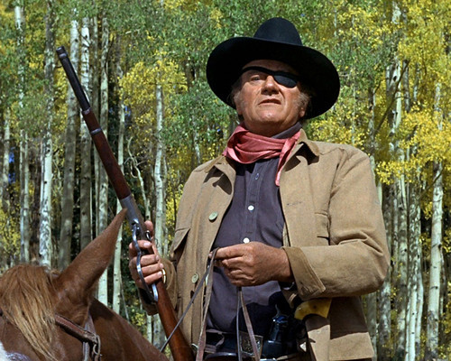 cast of true grit cast of true grit