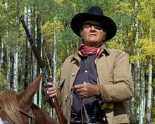 This is an image of Prints & Posters of True Grit 1969 203169