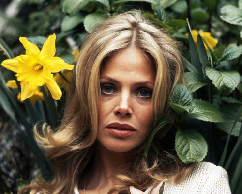 This is an image of Prints & Posters of Britt Ekland 203342