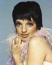 This is an image of Prints & Posters of Liza Minnelli 203511