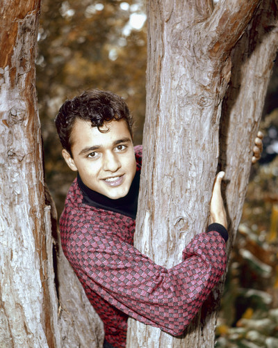 This is an image of Prints & Posters of Sal Mineo 203515