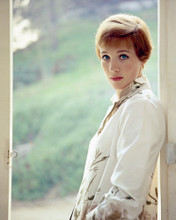 This is an image of Prints & Posters of Julie Andrews 203542