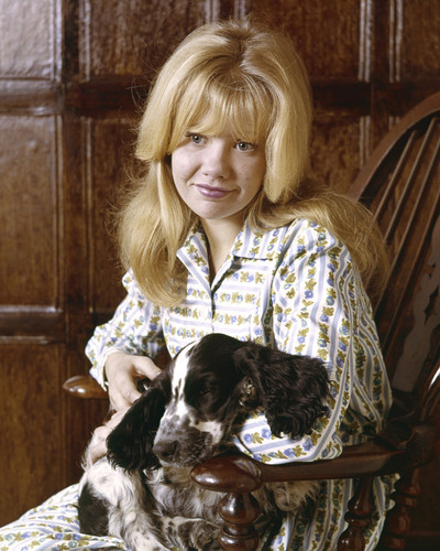 This is an image of Prints & Posters of Hayley Mills 203549