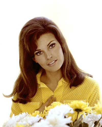This is an image of Prints & Posters of Raquel Welch 203442