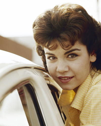 This is an image of Prints & Posters of Annette Funicello 203448