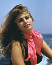 This is an image of Prints & Posters of Sophia Loren 203468