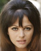 This is an image of Prints & Posters of Claudia Cardinale 203470