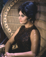 This is an image of Prints & Posters of Sophia Loren 203473
