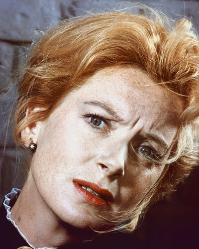 This is an image of Prints & Posters of Deborah Kerr 203379