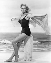 This is an image of Prints & Posters of Diane McBain 106202