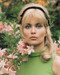 This is an image of Prints & Posters of Alexandra Bastedo 203663