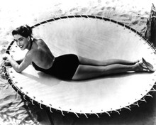 Movie Market - Julie Adams Gallery of Photos and Posters