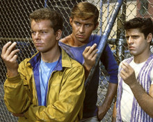This is an image of Prints & Posters of West Side Story 203737