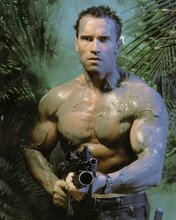 This is an image of Prints & Posters of Arnold Schwarzenegger 203752