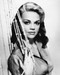 This is an image of Prints & Posters of Dyan Cannon 106460