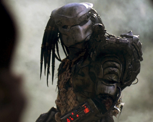 This is an image of Prints & Posters of Predator 203820