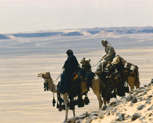 This is an image of Prints & Posters of Lawrence of Arabia 203992