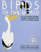 This is an image of Prints & Posters of Birds of the World 204147