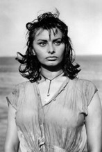 This is an image of Prints & Posters of Sophia Loren 106961