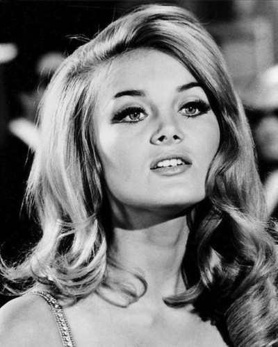 This is an image of Prints & Posters of Barbara Bouchet 106934