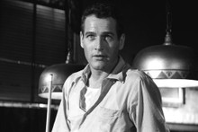 This is an image of Prints & Posters of Paul Newman 106968