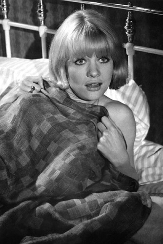 This is an image of Prints & Posters of Judy Geeson 106970