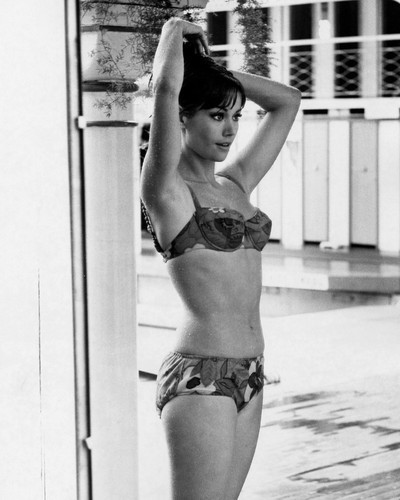 This is an image of Prints & Posters of Claudine Auger 107171